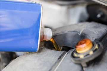 Pouring oil to the car engine. Supplementing liquids in the drive unit of the car.