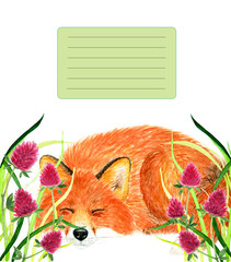Cover for notebook with sleeping Fox. Watercolor illustration.
Fox sleeping in the grass. Background for design, printing on paper. Illustration for product advertising.