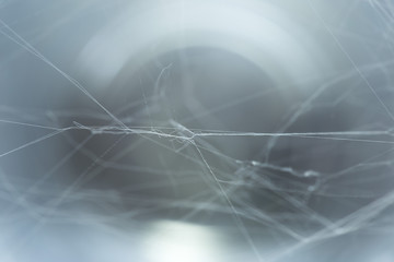 spider web texture background