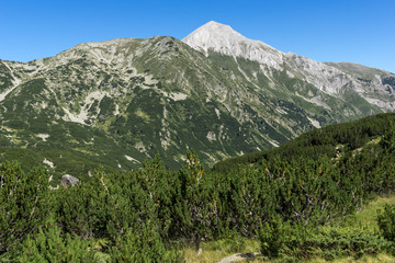 Fototapeta na wymiar Landscape with Hvoynati and Vihren Peak, Pirin Mountain, Bulgaria