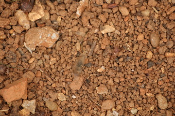 Ground Floor Texture