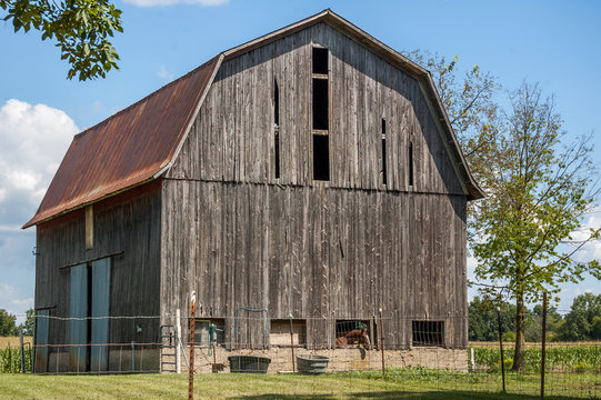 Old Barn with horse peeking out