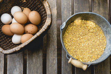 Eggs in wicker basket with corn as food for hens.