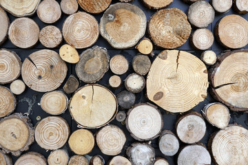 Fototapeta premium Wandverkleidung mit Holzscheiben unterschiedlicher Größe