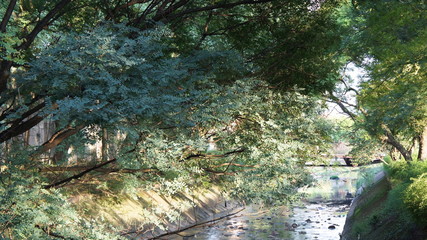 Brazil - Sao Paulo  city