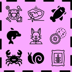 Simple 9 icon set of life related ultrasound, rabbit, snail and crab vector icons. Collection Illustration