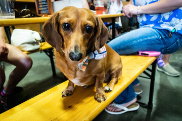 Weenie