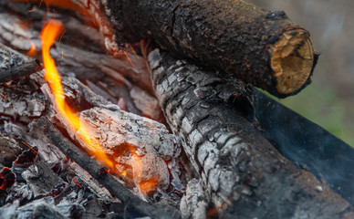open fire in the nature for a barbecue