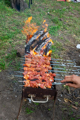 barbecue in nature on fire