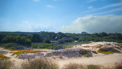 hinter den Dünen