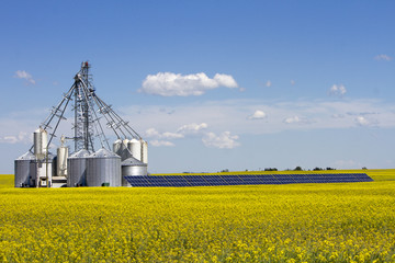 Canola Grain Silo Solar Panel © nalidsa