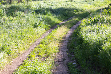 spring, rural road along the edges of fields of dense green grass