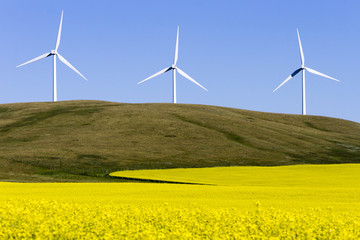 Wind Turbine Alternative Energy