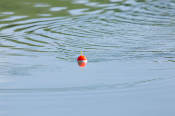 fishing float on the water © donikz