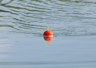 fishing float on the water © donikz