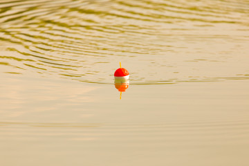 fishing float on the water © donikz