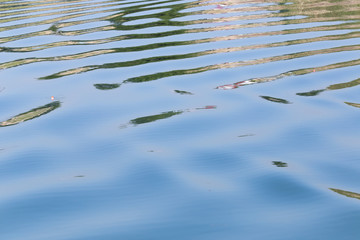 background water on the lake