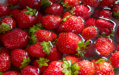 Washing fresh Strawberries