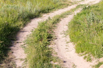 spring, rural road along the edges of fields of dense green grass