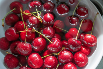 Washing Red Cherries in a bowl