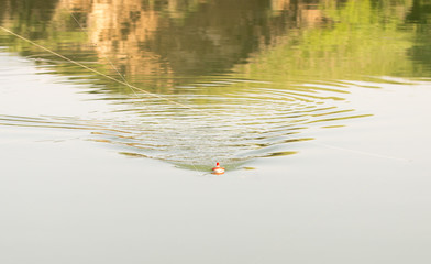 fishing float on the water