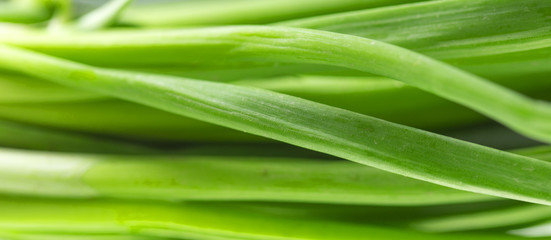 background of fresh, green onions