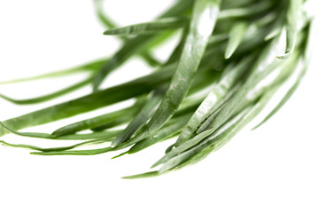 Fototapeta premium green onion on isolated on white background