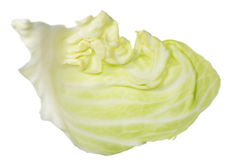 cabbage leaves on white background