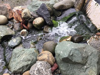 boulders and water in Oregon