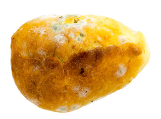Deep fried old samsa with mold isolated on white background