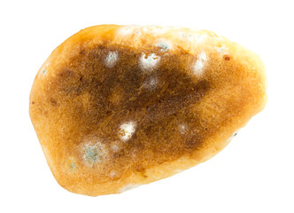 Deep fried old samsa with mold isolated on white background