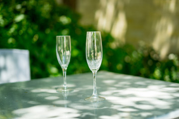 empty glass wine cups