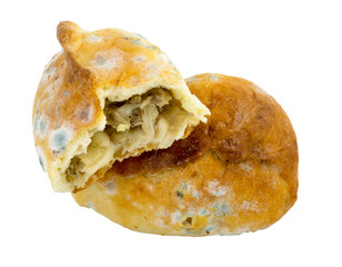 Deep fried old samsa with mold isolated on white background