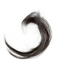 a piece of black hair isolated on a white background