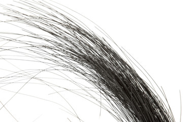 a piece of black hair isolated on a white background