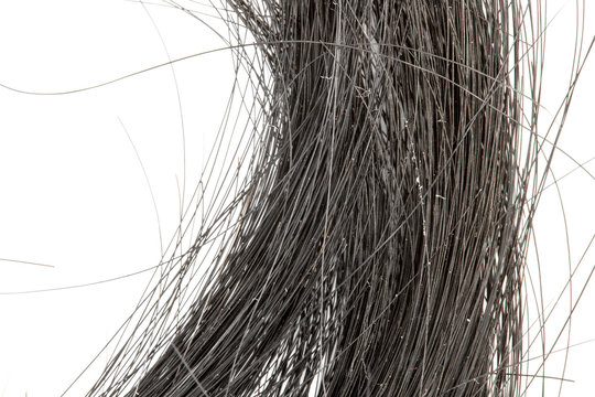 a piece of black hair isolated on a white background