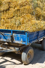 Straw on the field, people pick bales on the truck