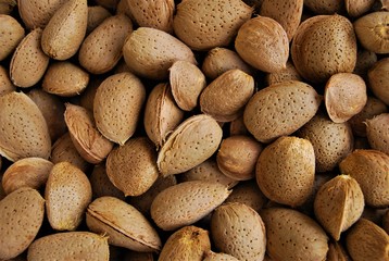 Fototapeta premium Almond Nut Backdrop