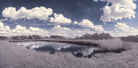 infrared photography - ir photo of landscape with tree under sky with clouds - the art of our world...