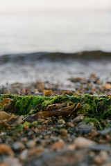 Море