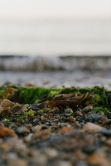 Море
