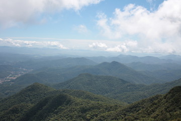 Fototapeta premium Tropical Rainforest in Brazil