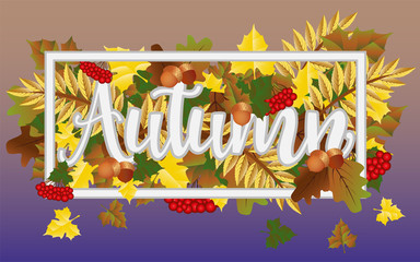 Season autumn time banner, vector illustration