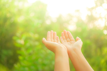 Woman hands place together like praying in front of nature green  background.