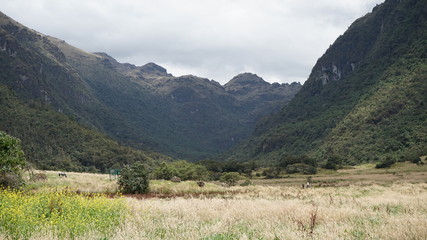 CAJAS CUENCA ECUADOR