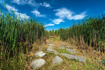 Stormwater Retention