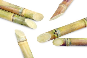 Sugar cane heap piece, Pile of Cane, Sugarcane piece fresh, Sugar cane on white background, Sugarcane fresh