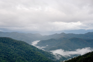 Landscape image of greenery rainforest hills in foggy day with blue sky background