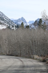 Winter mountain road