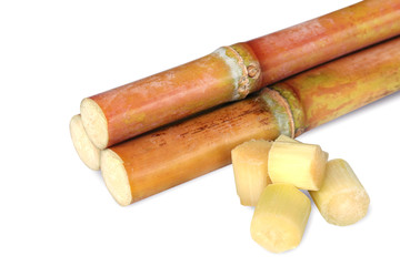Sugar cane, Cane, Sugarcane cut piece fresh, Sugar cane on white background, Sugarcane fresh